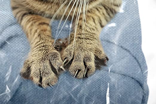 91K2feG4nKL._AC_SX522_