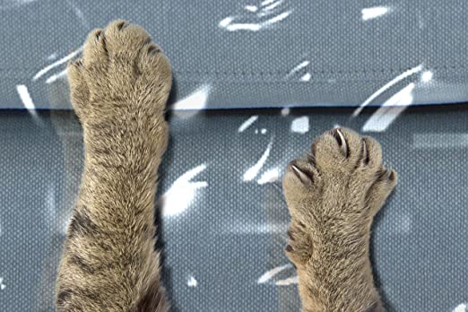 91Tfblx8OtL._AC_SX522_